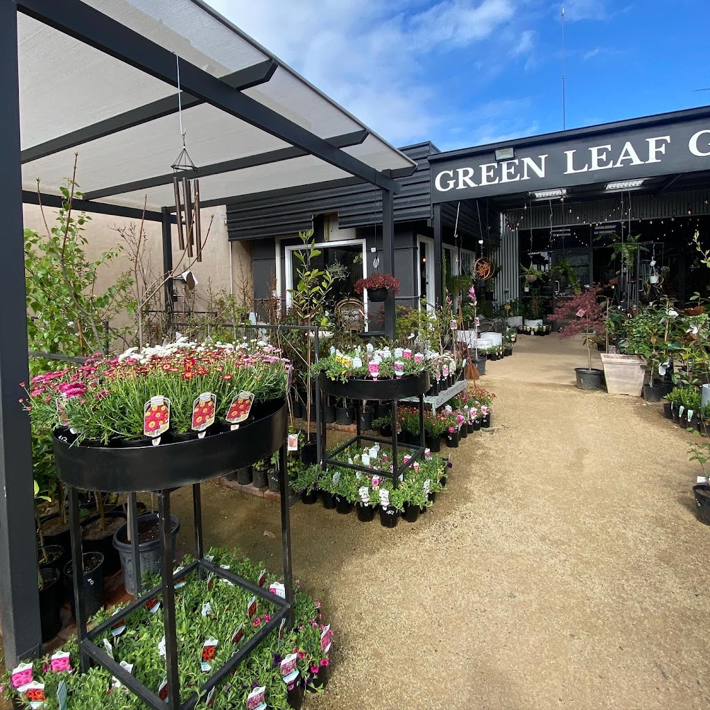 Green Leaf Gardens Nusery | store | 288 Hoskins St, Temora NSW 2666, Australia | 0499787655 OR +61 499 787 655