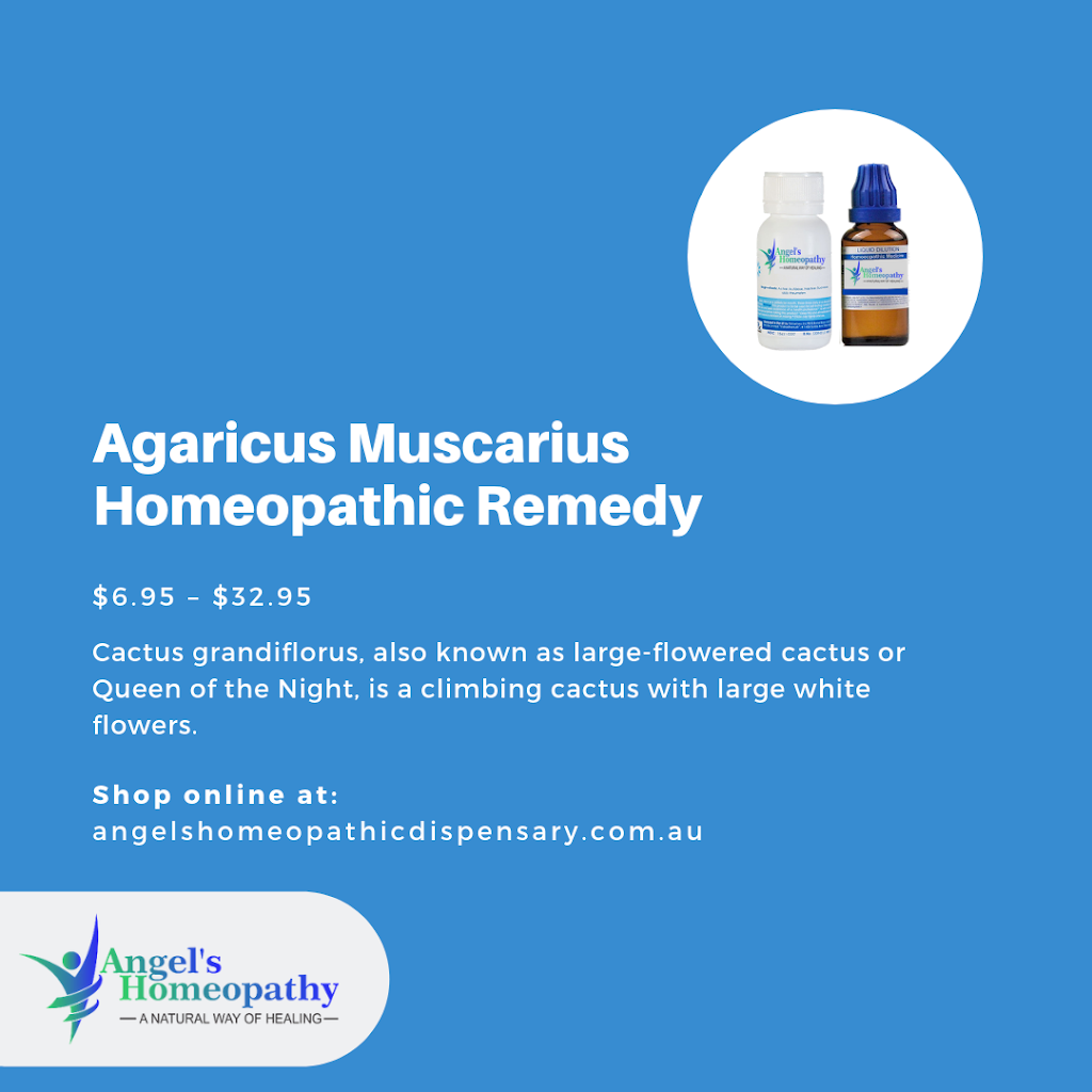 Angel’s Homeopathy Australia | pharmacy | 89 Exilis St, Rochedale South QLD 4123, Australia | 0732992424 OR +61 7 3299 2424