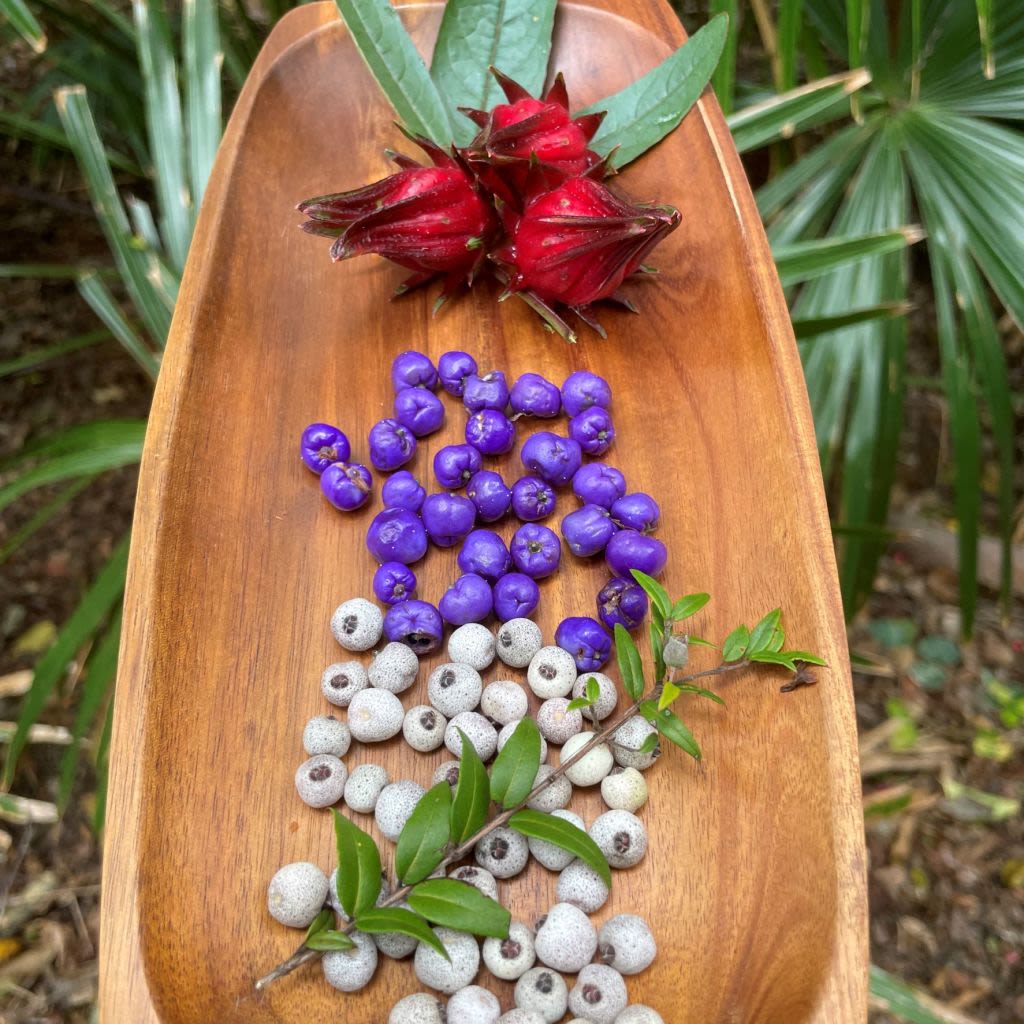 Explore Byron Bay Pty Ltd | Unit 3/10 Ironbark Ave, Byron Bay NSW 2481, Australia | Phone: 0467 277 669