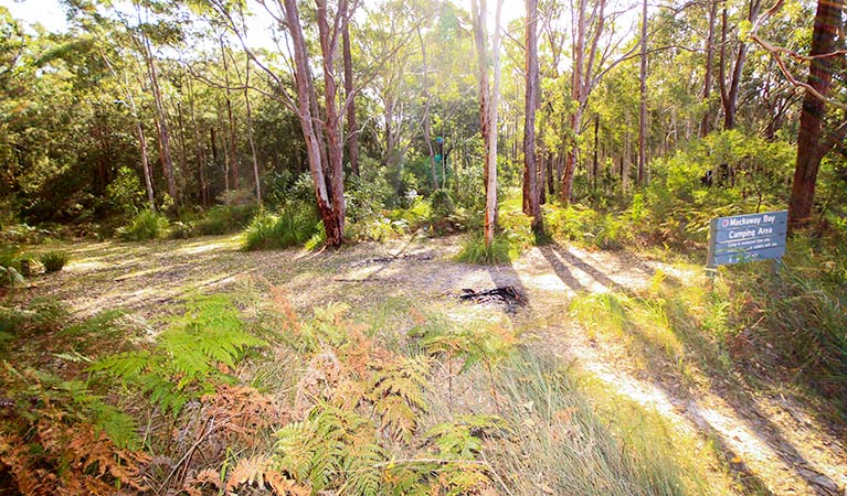 Mackaway Bay campground | campground | 895 Clarks Rd, Bombah Point NSW 2423, Australia | 0265910300 OR +61 2 6591 0300
