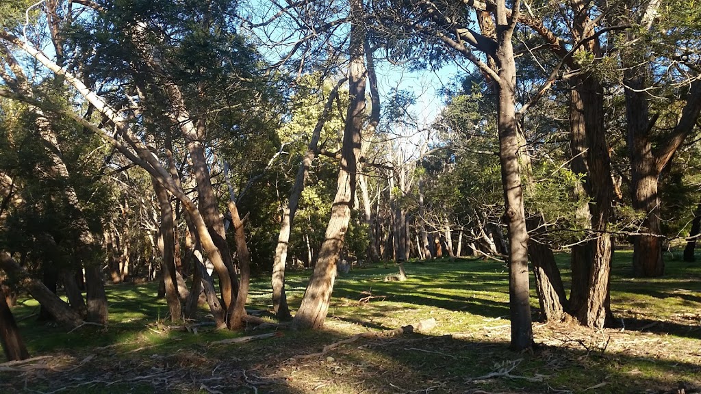 Treetops Scout Camp | 140 Royal Parade, Riddells Creek VIC 3431, Australia | Phone: (03) 5428 6756