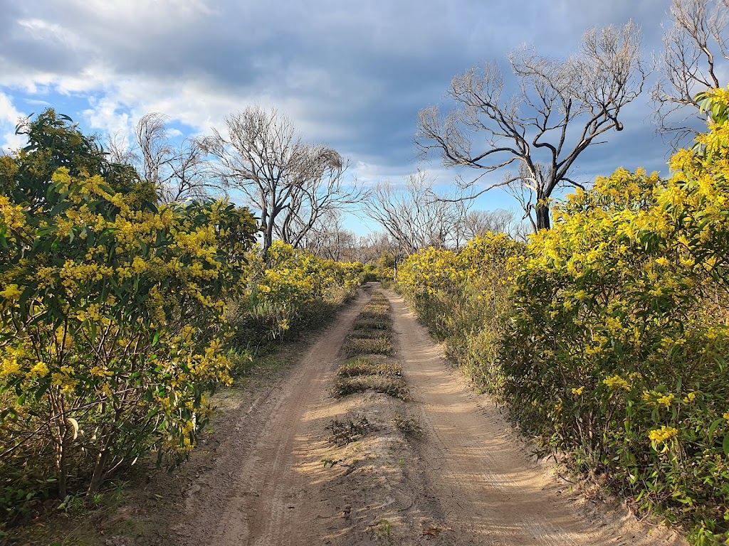 Blooming Tunes | 3 Yanyula Dr, Anula NT 0812, Australia | Phone: 0408 356 348