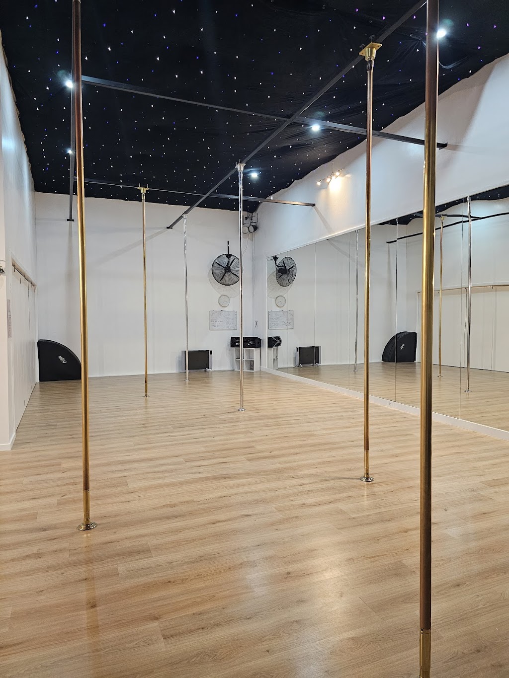 PhysiPole Studios Sale | Unit 3/9 Wellington Park Way, Sale VIC 3850, Australia | Phone: 0432 573 914