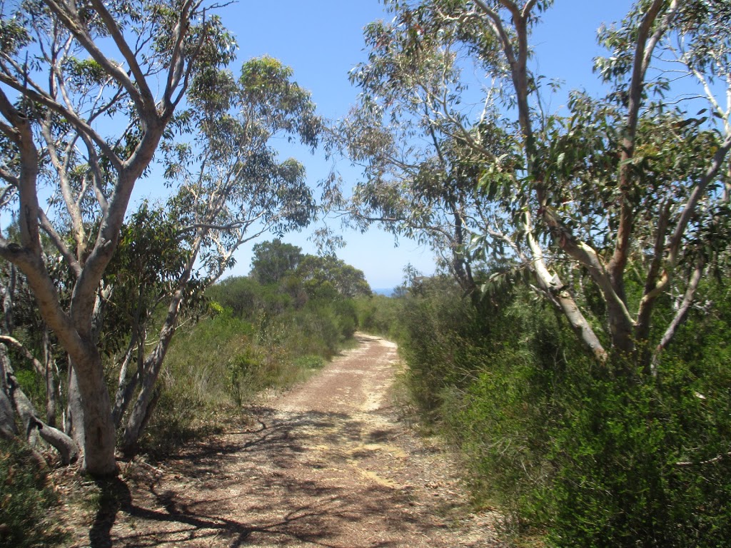 The Basin Trail | park | Basin Trail, Ku-Ring-Gai Chase NSW 2084, Australia