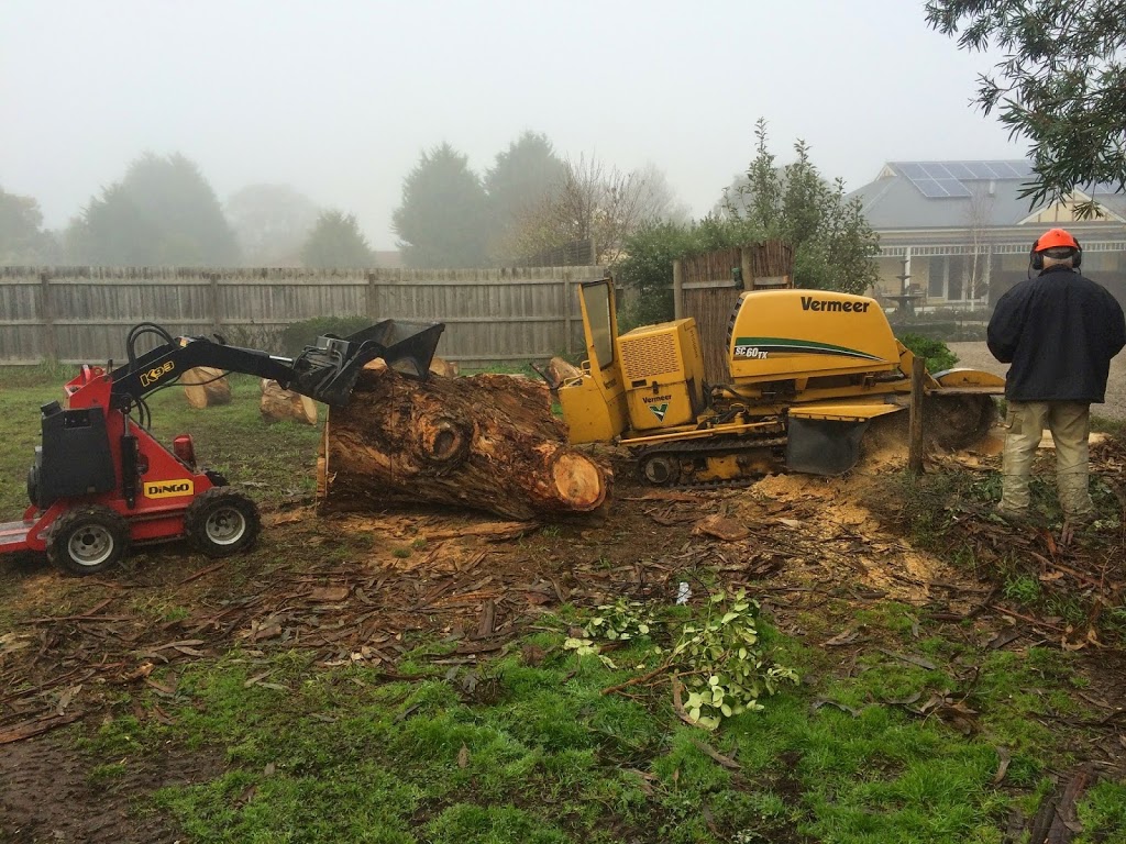 Cut It Right Tree Service | 147 Cadles Rd, Carrum Downs VIC 3201, Australia | Phone: 0415 776 062