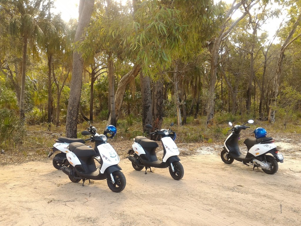 Discovery Coast Moped and eBikes Hire |  | Coral Ave, Agnes Water QLD 4677, Australia | 0476670321 OR +61 476 670 321