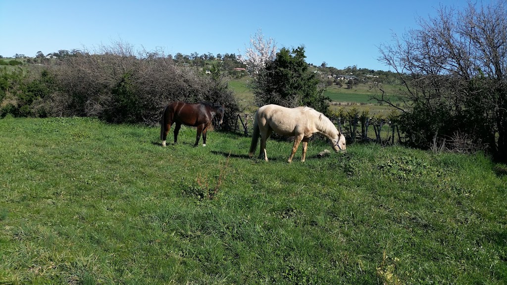 Marshdale Farm | 31 Bridges Rd, Pawleena TAS 7172, Australia | Phone: 0408 653 693