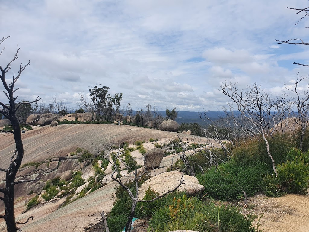 Bald Rock | Bald Rock Walk, Carrolls Creek NSW 2372, Australia | Phone: (02) 6736 4298