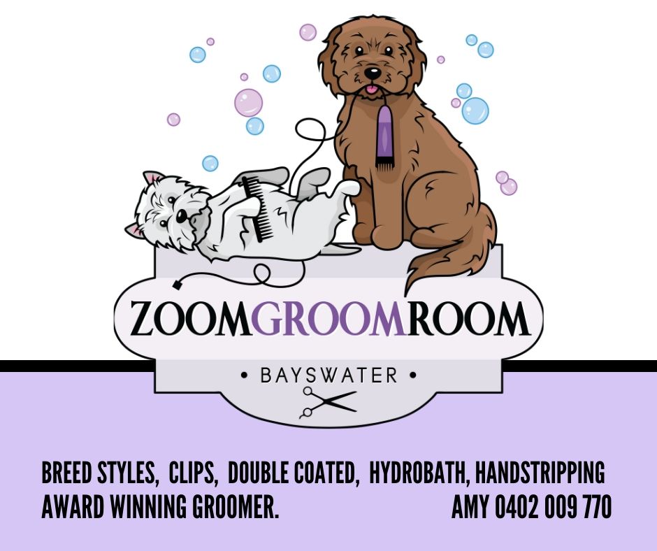 ZoomGroomRoom - Bayswater | 3 Adina Cl, Bayswater North VIC 3153, Australia | Phone: 0402 009 770