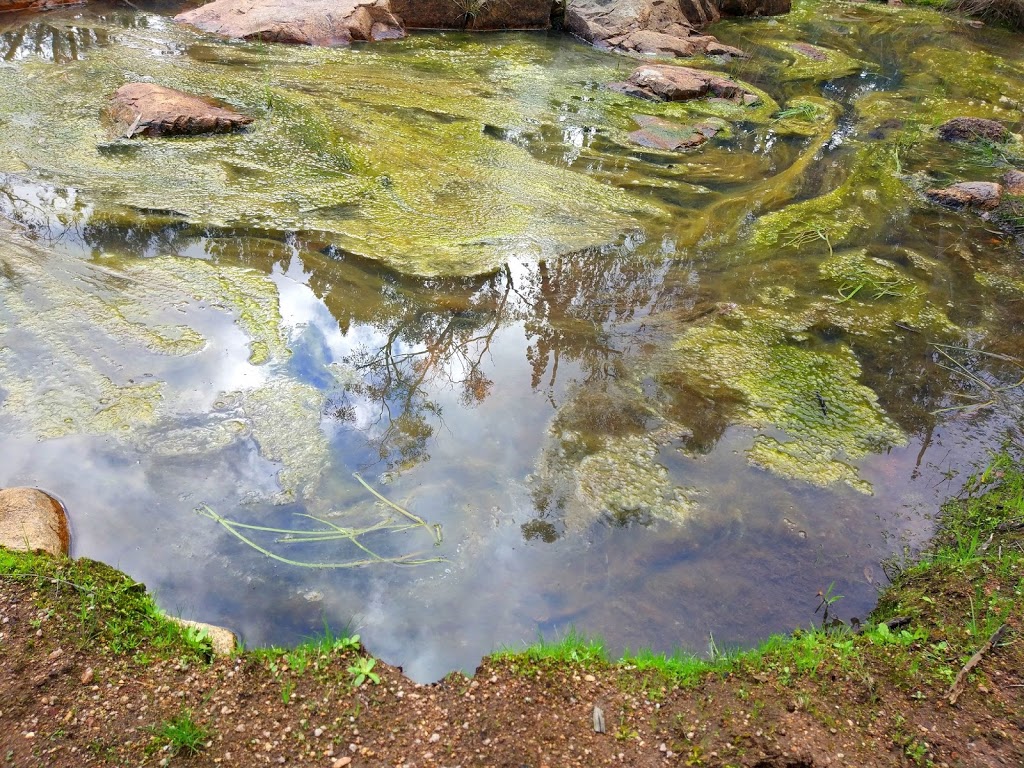 Pine Gully Falls @ Warby-Ovens National Park | Pine Gully Nature Trail, Mount Bruno VIC 3675, Australia | Phone: 13 19 63