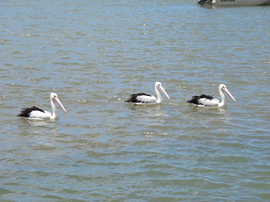 Mouth of Baffle Creek Conservation Park | Rules Beach QLD 4674, Australia