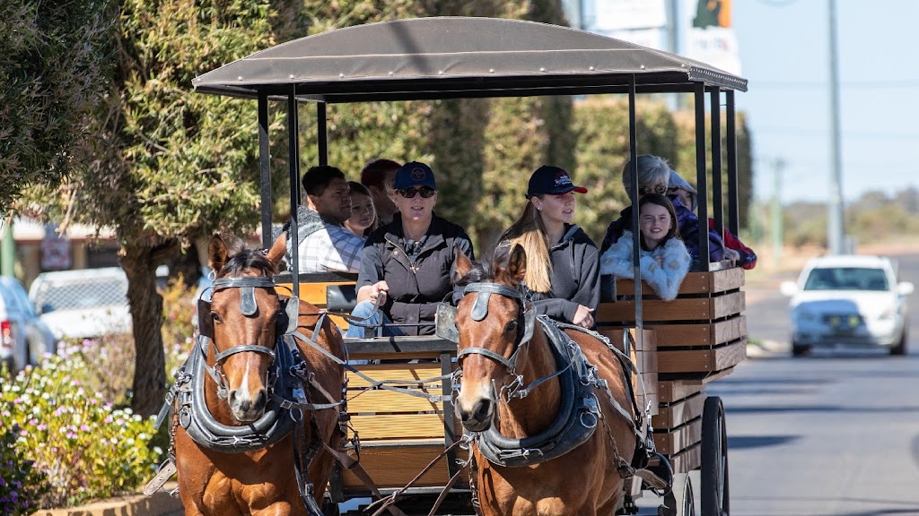 Hoofbeats Carriage Rides | Mudgee NSW 2850, Australia | Phone: 0400 029 758