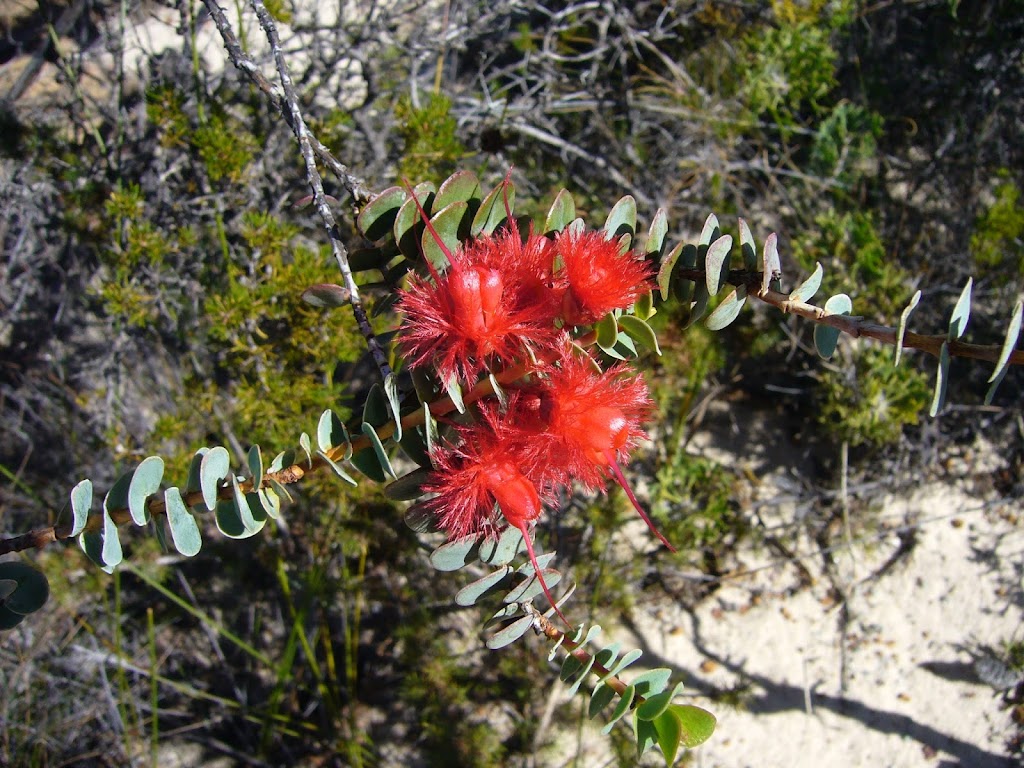 Country Coasts & Rivers | 13 Seaflower Way, Gabbadah WA 6041, Australia | Phone: 0408 114 721