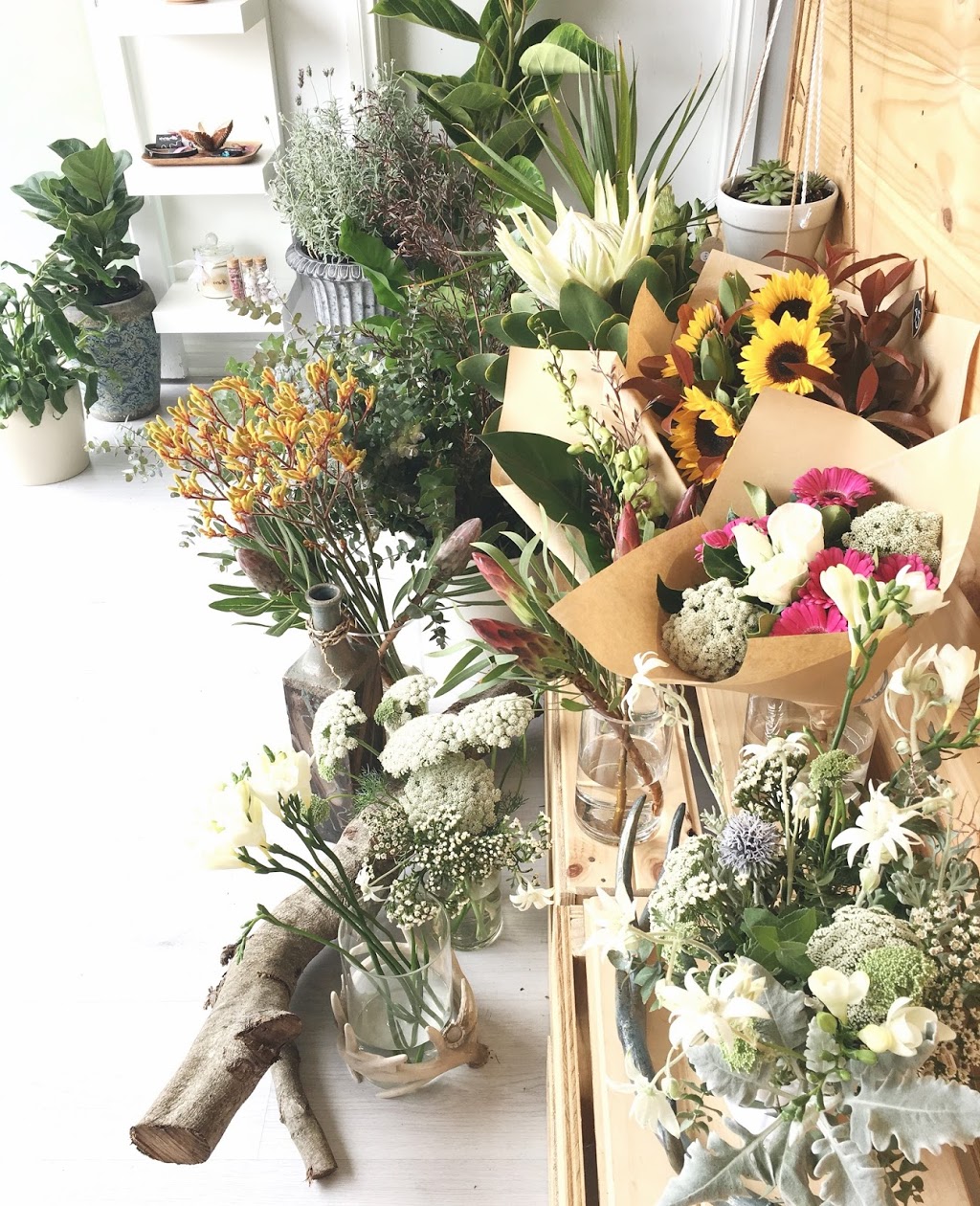 Riverwolfxo Florist | 6/18 Aubreen St, Collaroy Plateau NSW 2097, Australia | Phone: (02) 9982 2180