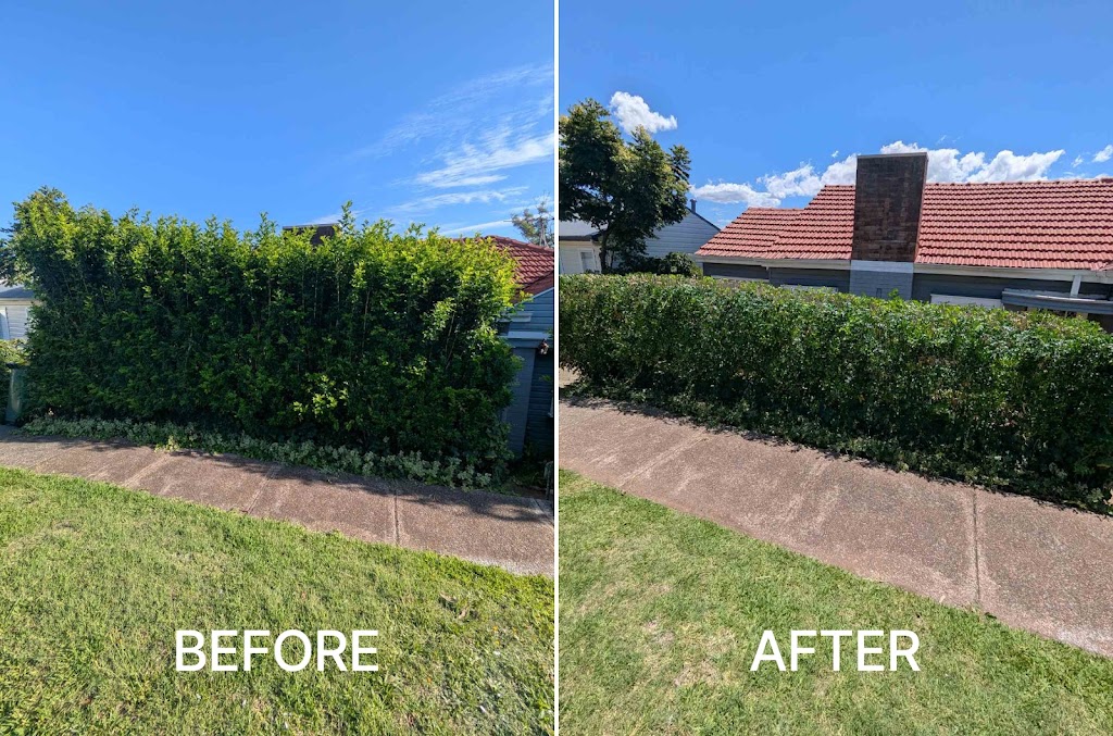 Gringo Yard And Garden Maintenance | 73 Janet St, North Lambton NSW 2299, Australia | Phone: 0468 688 967