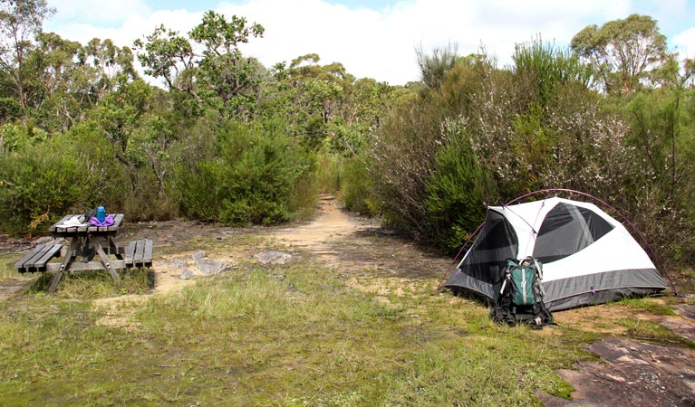 Kingfisher Pool campground | campground | Bullawarring Track, Heathcote NSW 2233, Australia | 1300072757 OR +61 1300 072 757