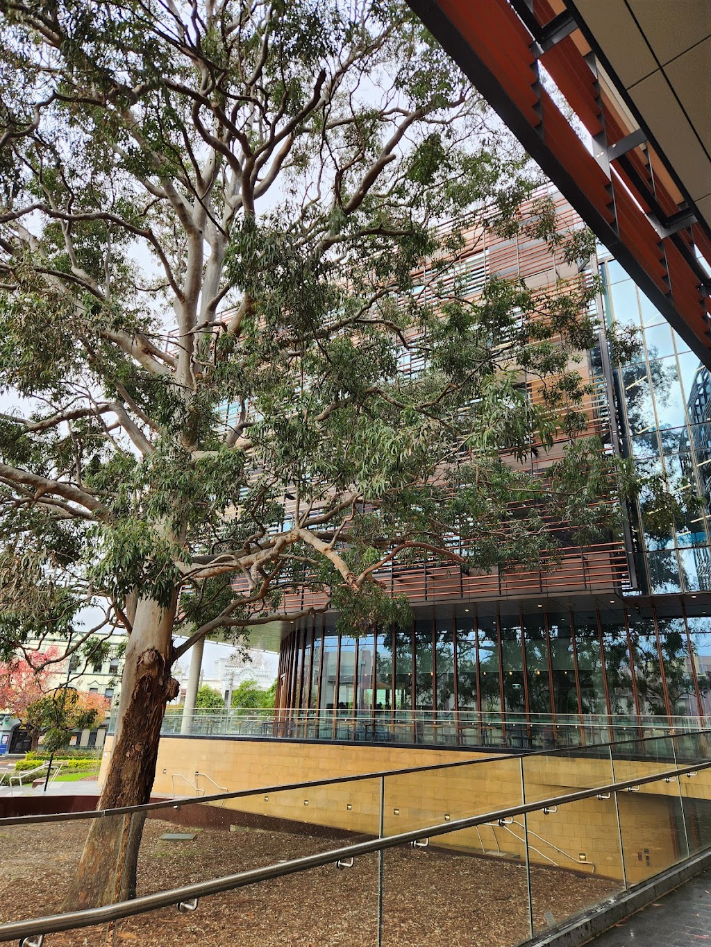 The University of Sydney Business School | Abercrombie Building H70, Corner Abercrombie Street and, Codrington St, Darlington NSW 2006, Australia | Phone: 1800 793 864