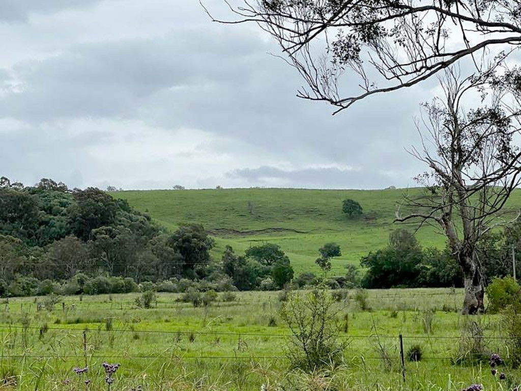 Mount Hunter Manor | 275 Calf Farm Rd, Mount Hunter NSW 2570, Australia | Phone: 0403 569 906