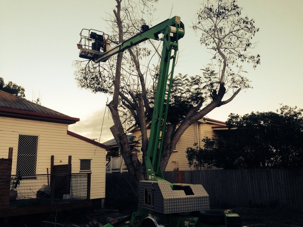 Bundy & Bargara Tree Service | general contractor | 25 Faggs Rd, Gooburrum QLD 4670, Australia | 0437659528 OR +61 437 659 528