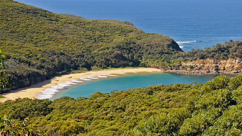 Bouddi National Park | park | Maitland Bay Track, Bouddi NSW 2251, Australia | 0243204200 OR +61 2 4320 4200