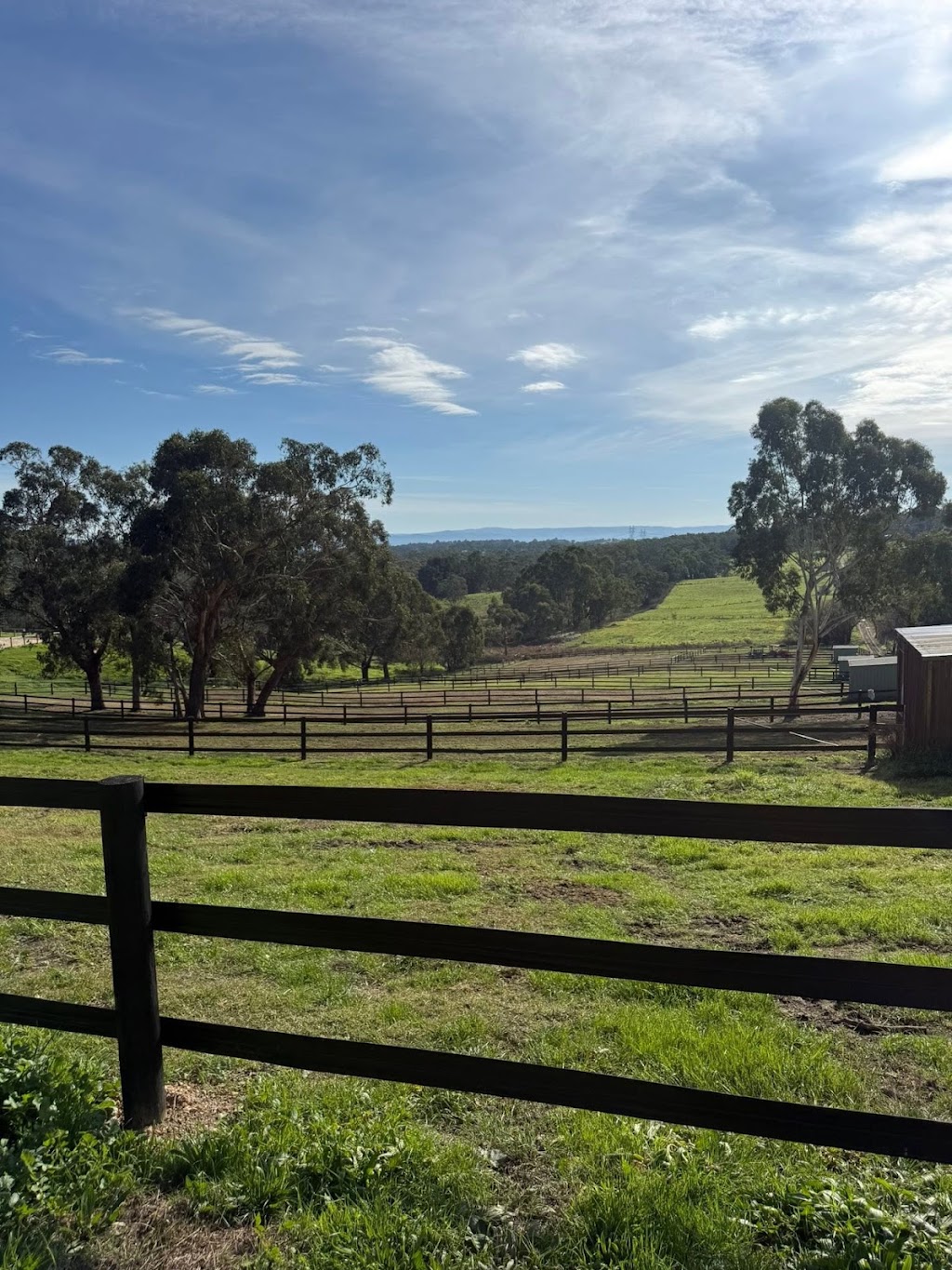 Vallaura Dressage | 205 Victoria Rd, Gruyere VIC 3770, Australia | Phone: 0400 372 334