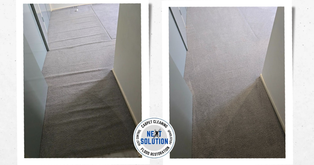 Next Solution Carpet Cleaning | 14 Websters Rd, Leslie Vale TAS 7054, Australia | Phone: 0439 533 107