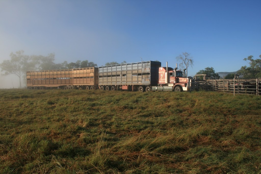 Willoughby Livestock Transport | moving company | Peak Downs Hwy, Eton QLD 4741, Australia | 0749541294 OR +61 7 4954 1294