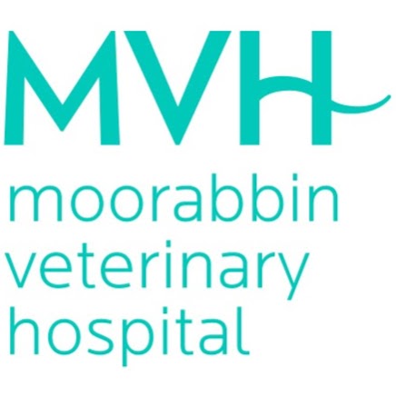 Moorabbin Veterinary Hospital | 328 South Rd, Hampton East VIC 3188, Australia | Phone: (03) 8613 3412