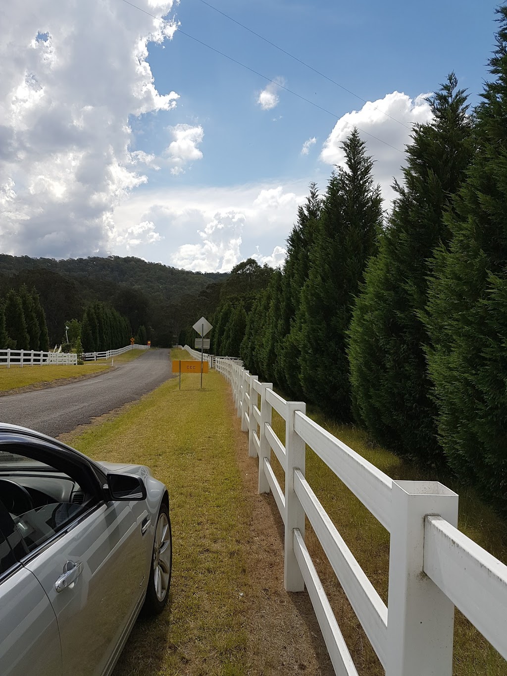 Tourist Drive 33 | travel agency | 2886 Wollombi Rd, Wollombi NSW 2325, Australia | 0269486837 OR +61 2 6948 6837