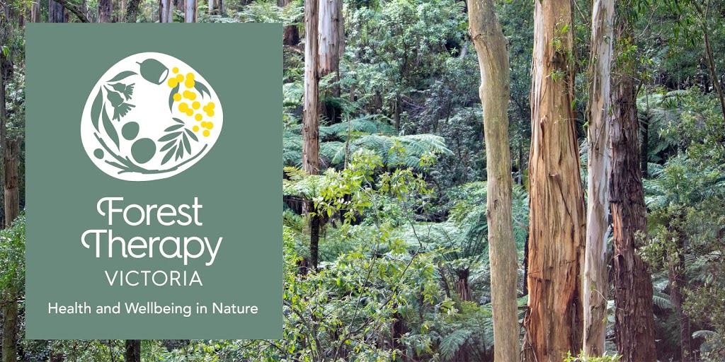 Forest Therapy Victoria | health | 2-4 Bemboka Rd, Croydon Hills VIC 3136, Australia | 1300385020 OR +61 1300 385 020