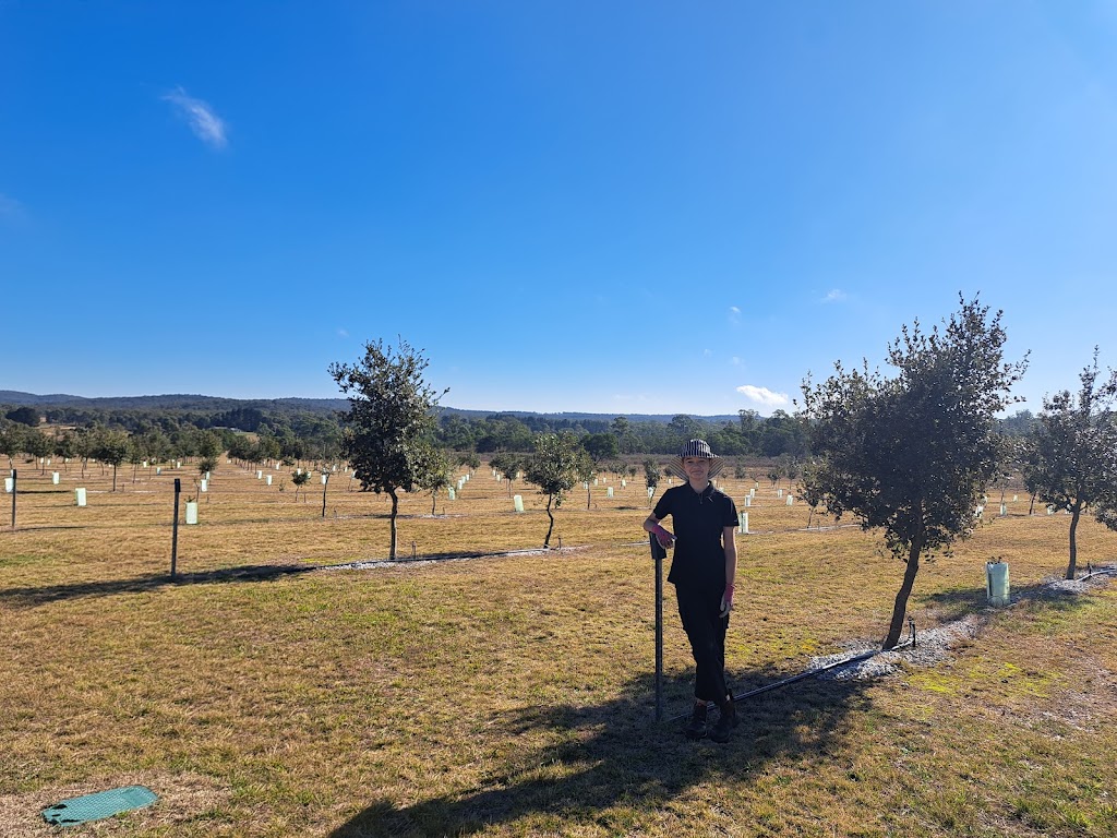 Black Wallaby Truffles | 311 Glynmar Rd, Marulan NSW 2579, Australia | Phone: 0493 184 026