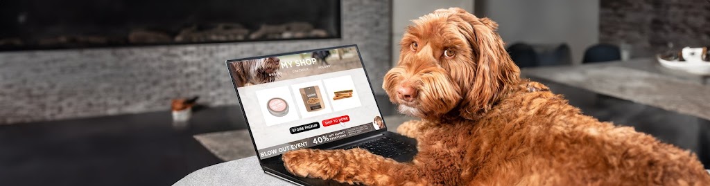 petparadiseau | 18 Staaten St, Brassall QLD 4305, Australia | Phone: 0467 039 534