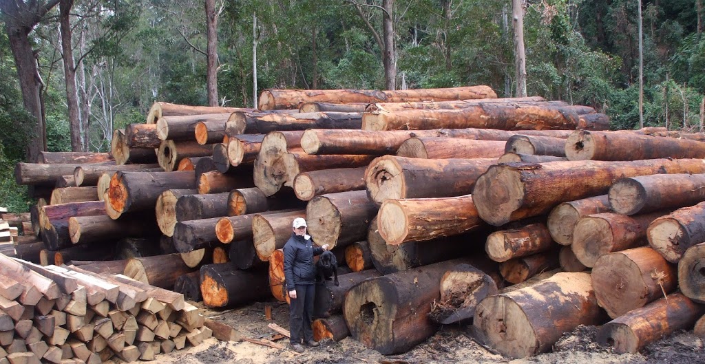 TimberFellers Pty Ltd | general contractor | 321 Wangat Trig Rd, Bandon Grove NSW 2420, Australia | 0408161325 OR +61 408 161 325