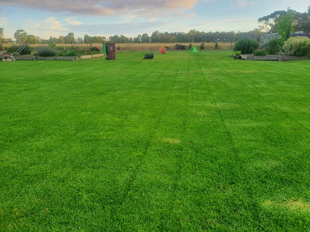 Gv Lawns and Landscaping | 458 Kellys Rd, Numurkah VIC 3636, Australia | Phone: 0409 669 972