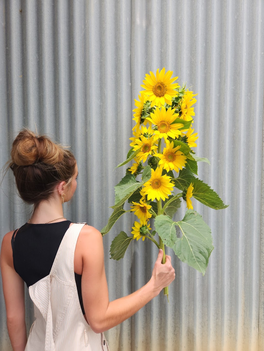 Pikt Roadside Stall | florist | 263 Myocum Rd, Ewingsdale NSW 2481, Australia | 0478544106 OR +61 478 544 106