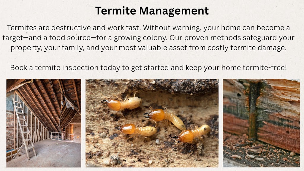 Fierce Pest Control Lake Macquarie | 184 Grand Parade, Bonnells Bay NSW 2265, Australia | Phone: 0406 940 610