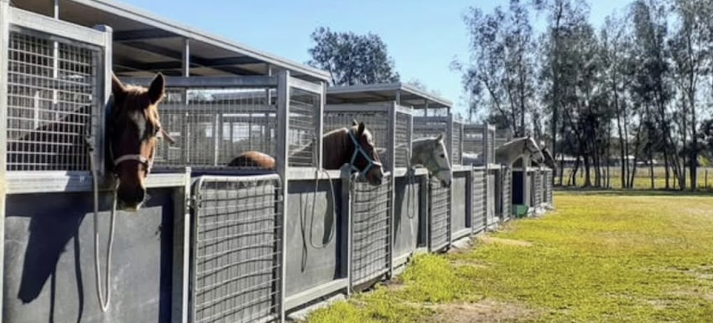 Severnlea Equestrian | 41 Main Green Swamp Rd, Spring Creek QLD 4343, Australia | Phone: 0424 873 154