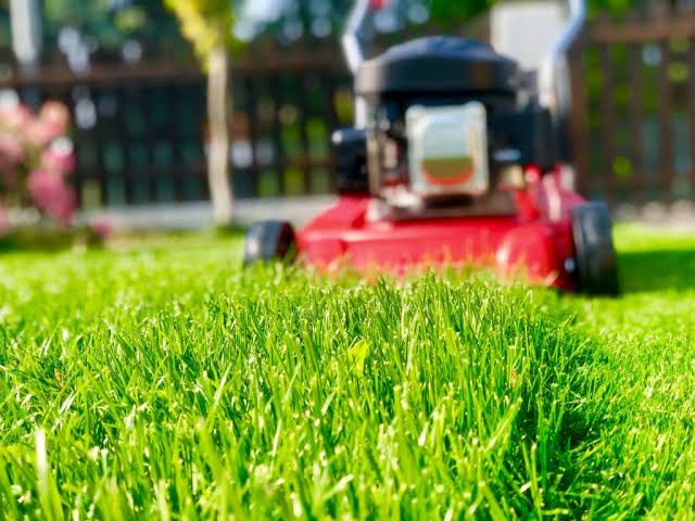Lattas lawn and gardening services | 1 Cedar Wattle Pl, Narellan Vale NSW 2567, Australia | Phone: 0409 988 805