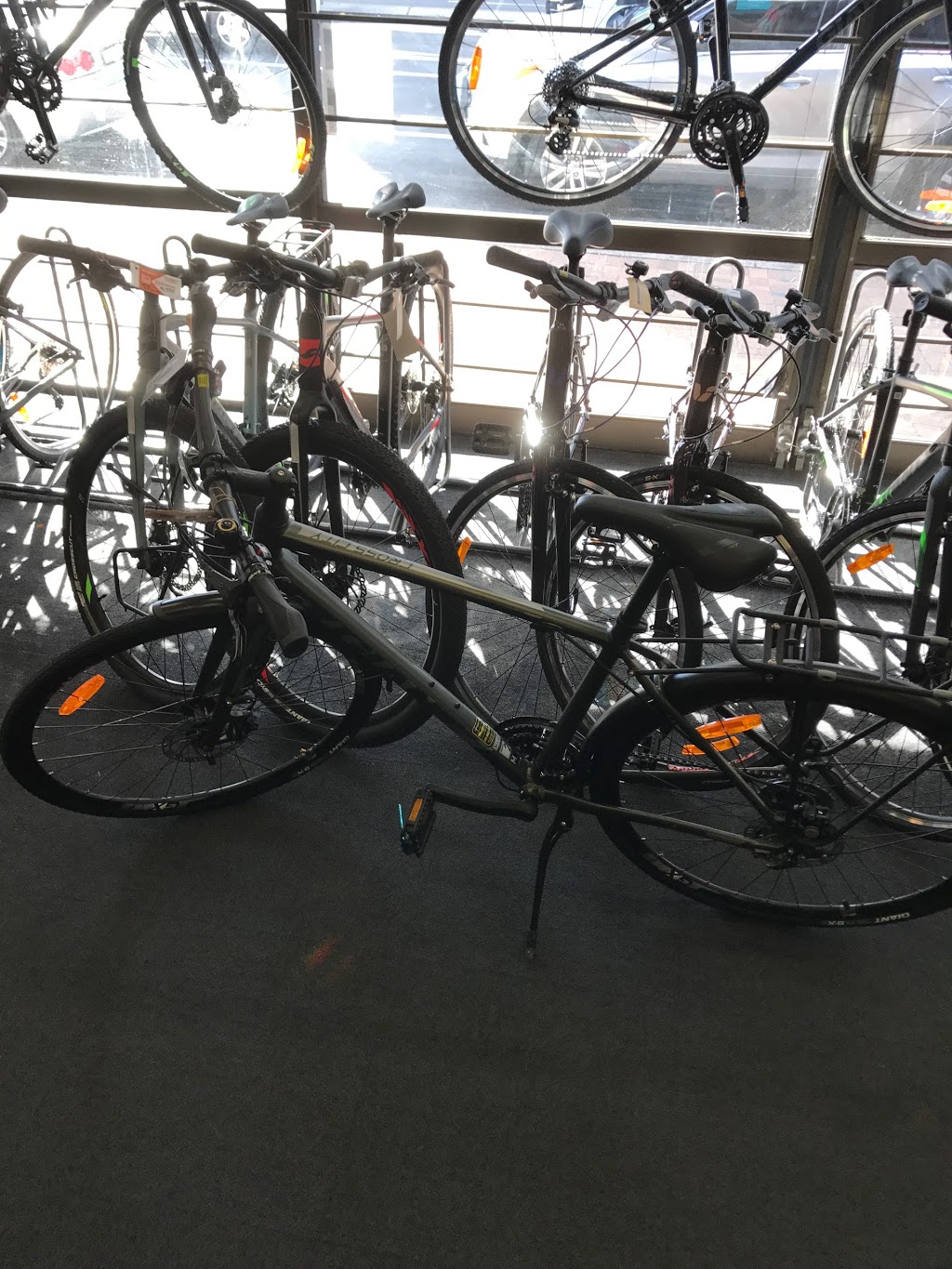 Blackman Bicycles | bicycle store | 104 Victoria Rd, Parramatta NSW 2150, Australia | 0296836555 OR +61 2 9683 6555