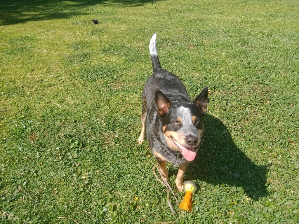 Wyong Produce & Farm Supplies | 413 Mandalong Rd, Mandalong NSW 2264, Australia | Phone: 0412 846 066