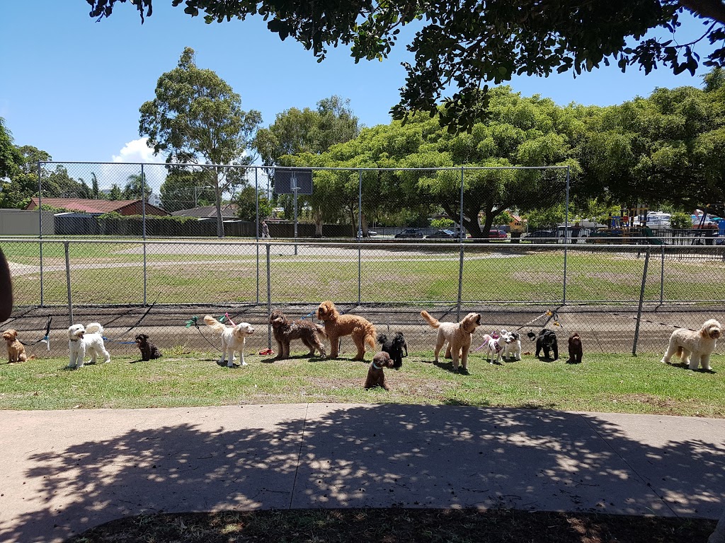 Bayview Fenced Dog Park | park | 21 Anemone Ave, Hollywell QLD 4216, Australia