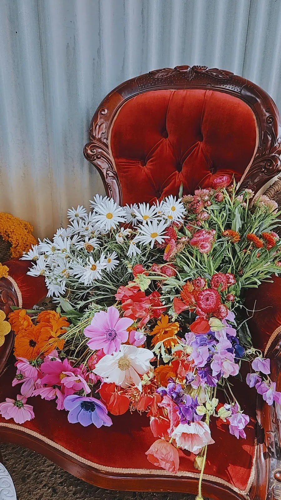 Pikt Roadside Stall | 263 Myocum Rd, Ewingsdale NSW 2481, Australia | Phone: 0478 544 106