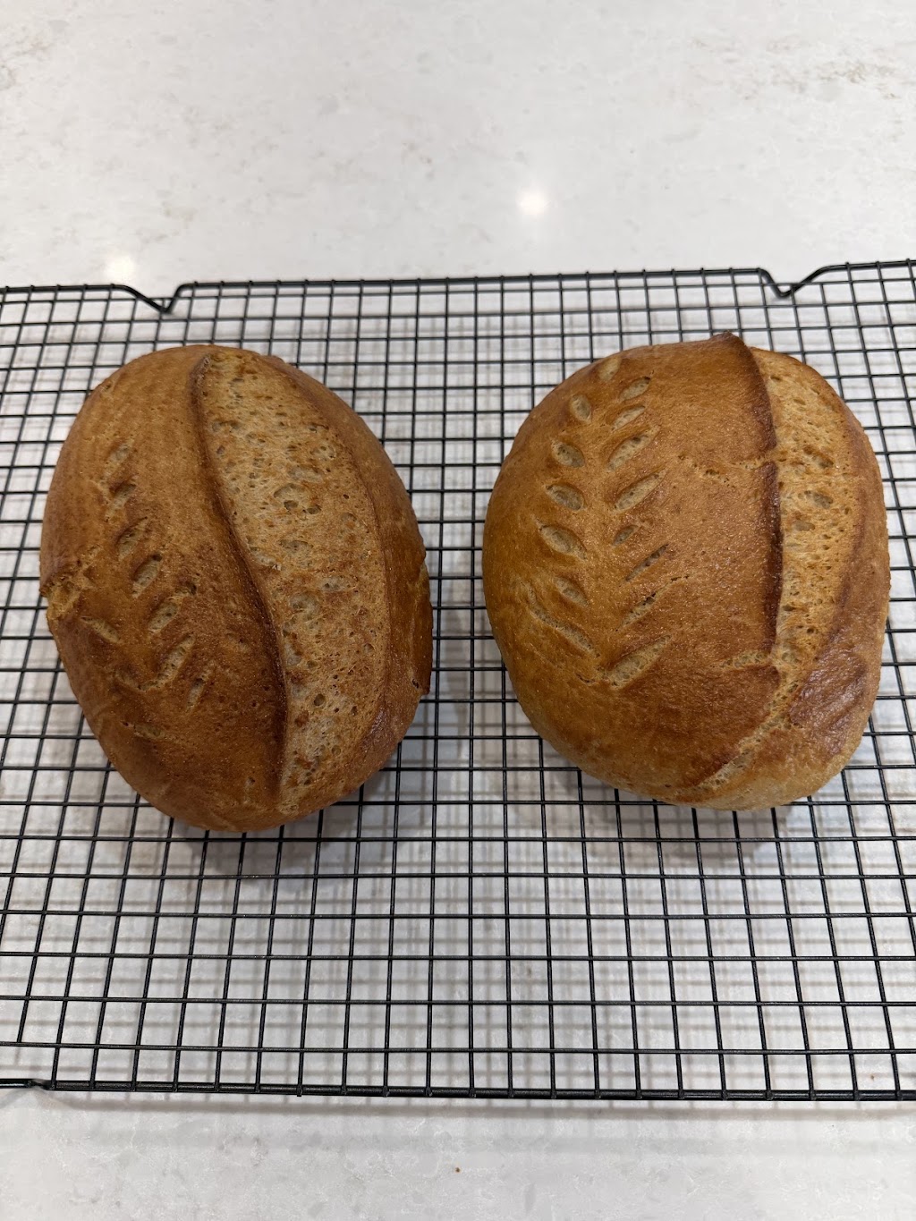 Shelz Sourdough Bakery | Caddens NSW 2747, Australia | Phone: 0402 017 902