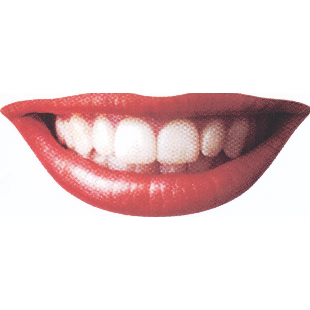 Dentistry by the Park | dentist | 146 Jasper Rd, Bentleigh VIC 3204, Australia | 0395573144 OR +61 3 9557 3144