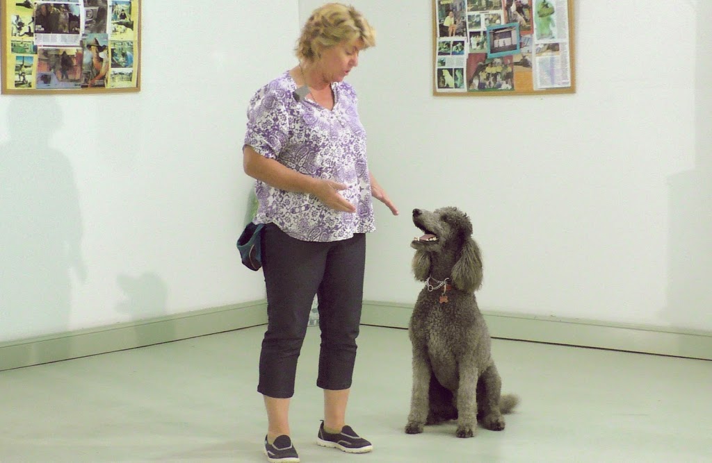 Animal Stars Dog Training | 81 Whittings Rd, Guanaba QLD 4210, Australia | Phone: 0419 032 996