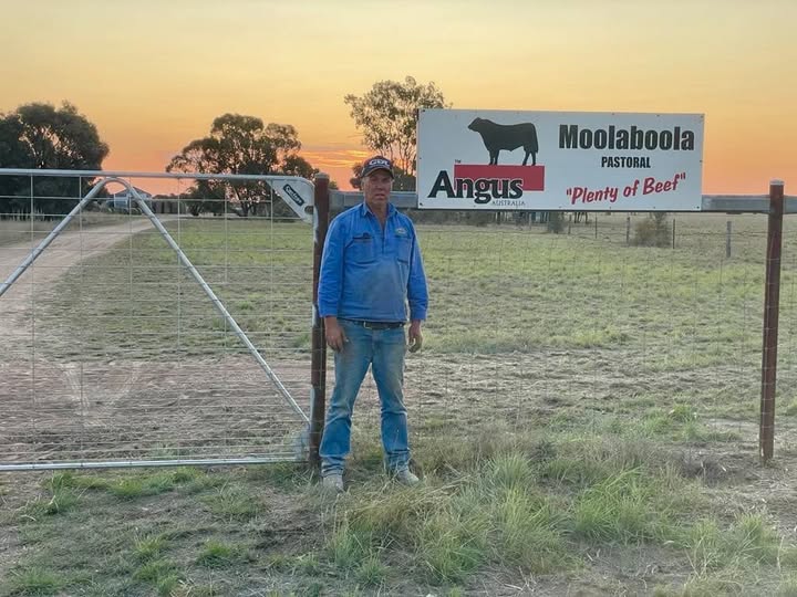 Moolaboola Pastoral | 232 Spring Flat Rd, Bell QLD 4408, Australia | Phone: 0407 947 268