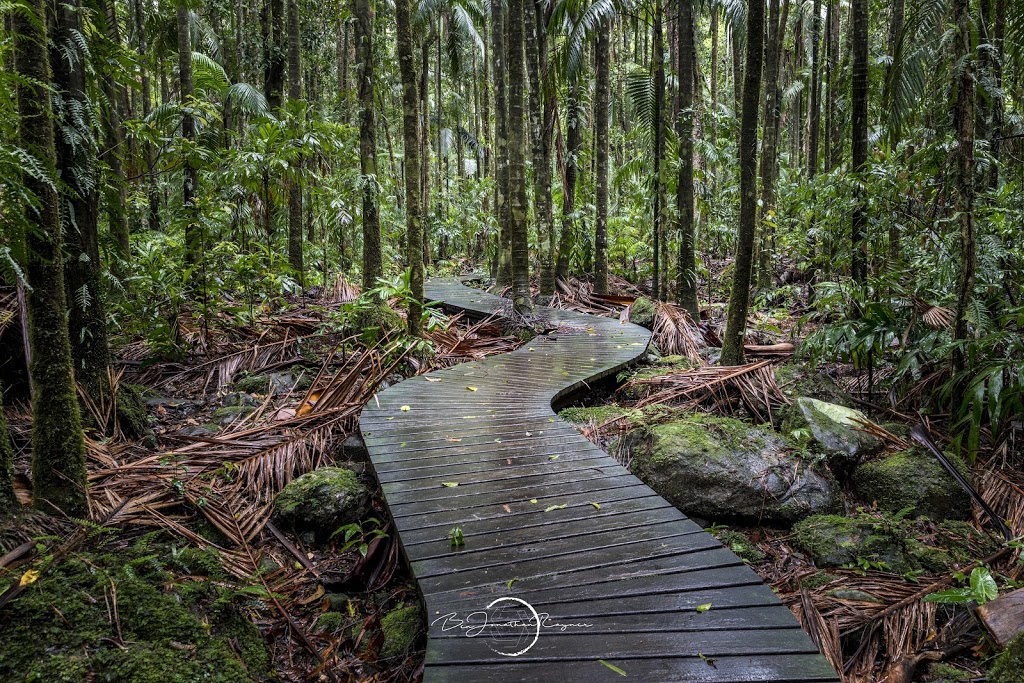 Protesters Falls |  | Nightcap National Park, Protester Falls Track, Nightcap NSW 2480, Australia | 0266270200 OR +61 2 6627 0200