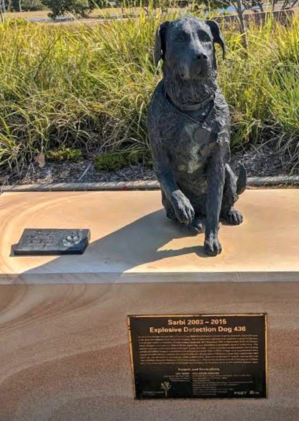 Sarbi Dog Park | 63 Brownell St, Warner QLD 4500, Australia