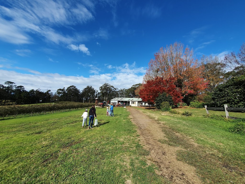 Shields Orchard | 2270 Bells Line of Rd, Bilpin NSW 2758, Australia | Phone: (02) 4567 1206