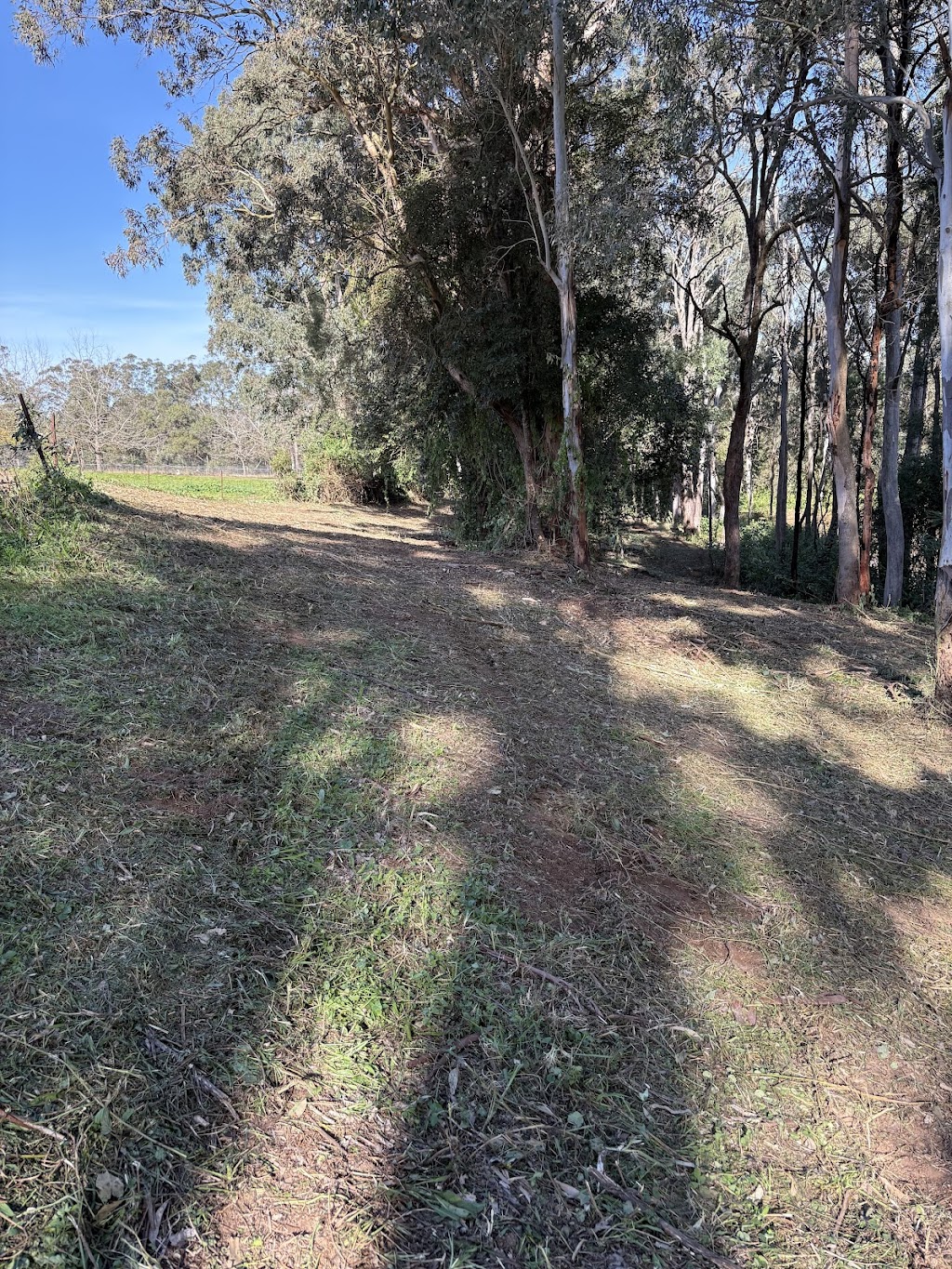 Sea Land Solutions | 164 Blaxlands Ridge Rd, Kurrajong NSW 2758, Australia | Phone: 0417 606 087